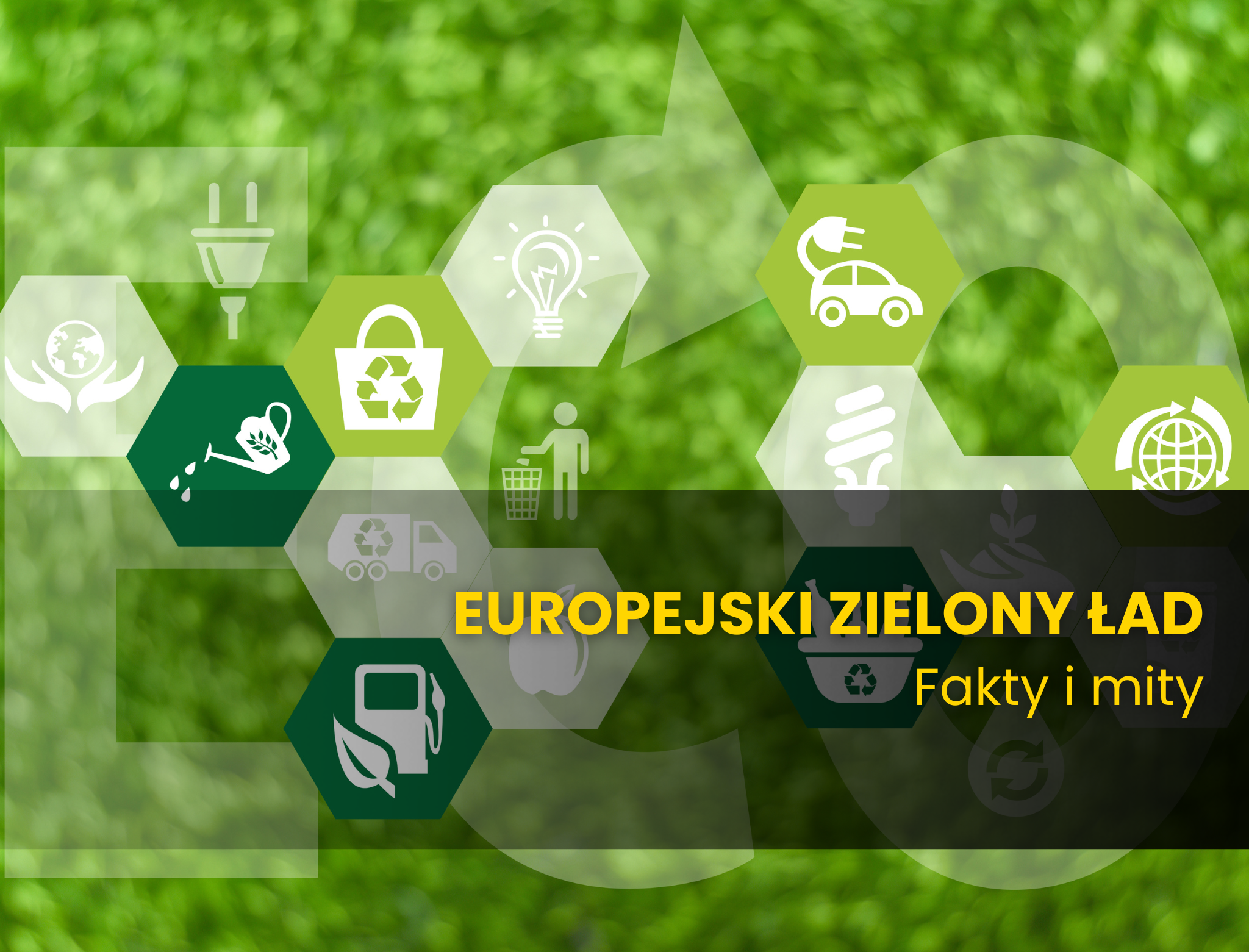 Europejski Zielony Ład to nie tylko rolnictwo