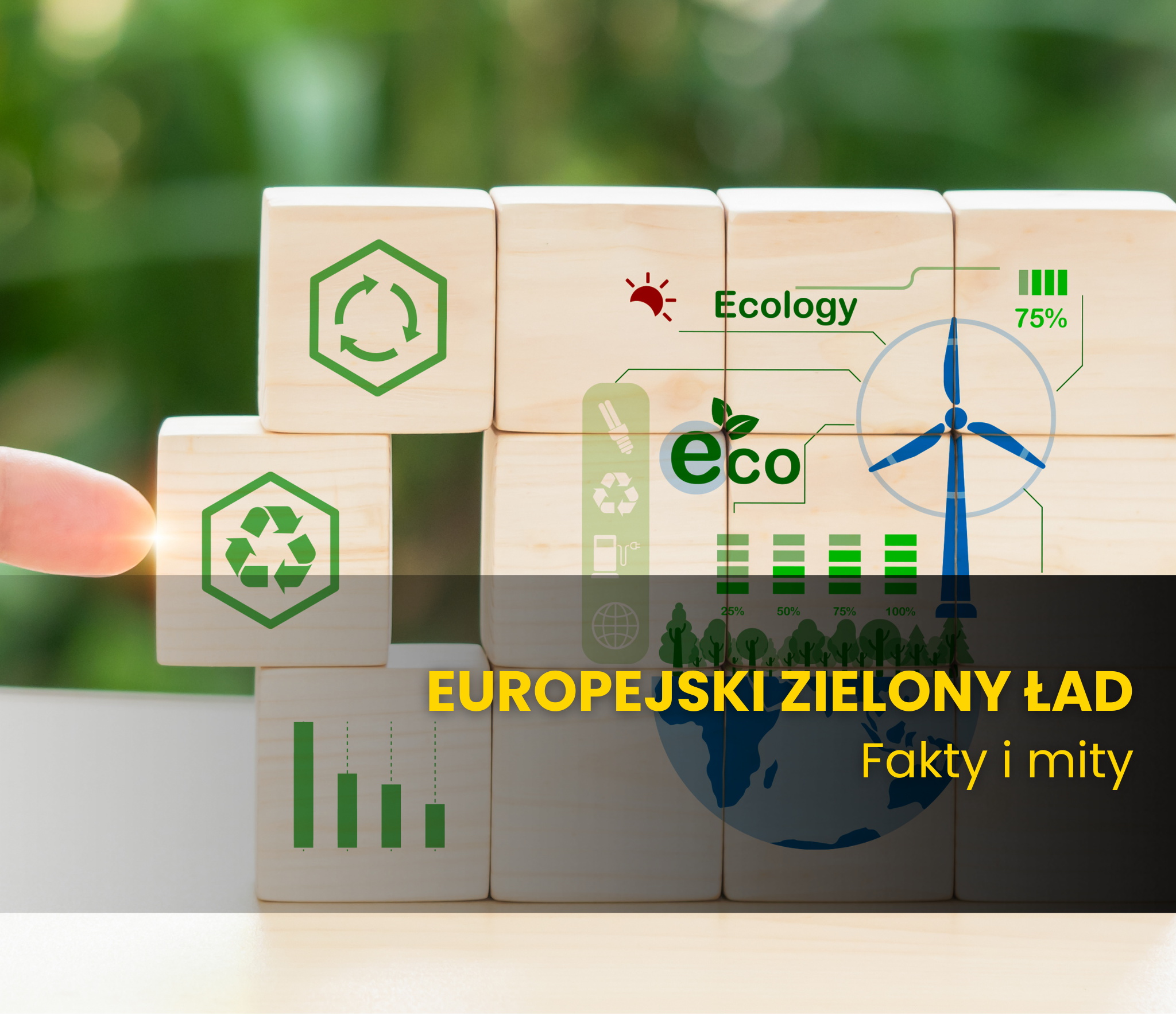 Europejski Zielony Ład – Polska była za czy przeciw?